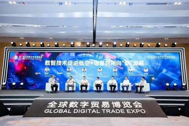 会员风采｜ 杭实集团在第三届全球数字贸易博览会产业发展对接会上作交流发言 低空经济如何“高飞”