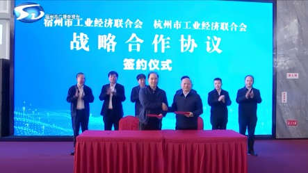 深化协会战略合作，携手谱写新篇章——杭州、宿州工业经济联合会开展经济文化交流活动